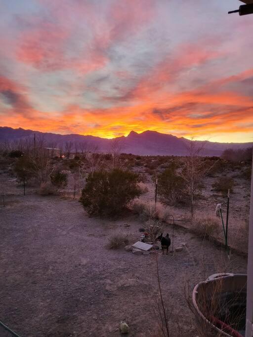 A Rest After A Day In The Death Valley Desert Scranton Buitenkant foto