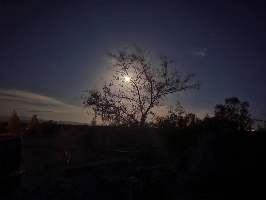 A Rest After A Day In The Death Valley Desert Scranton Buitenkant foto